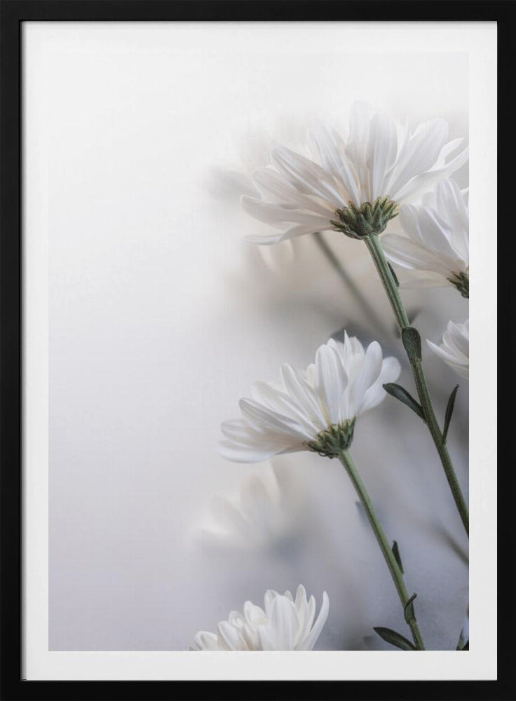 Verschwommene Blumen 8 | Poster