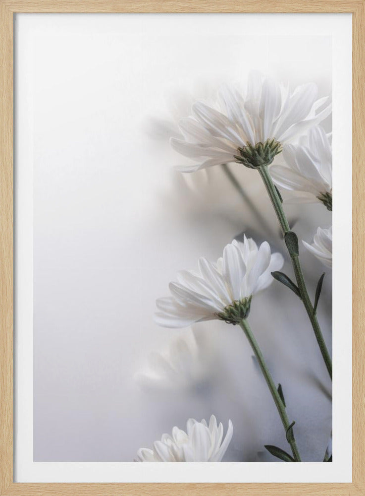 Verschwommene Blumen 8 | Poster
