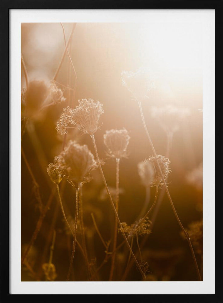 Goldene Stunde 1 | Poster