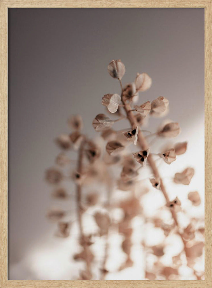 Letzter Sommer 32 | Poster