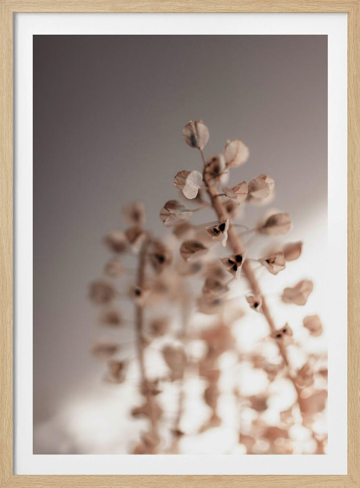 Letzter Sommer 32 | Poster