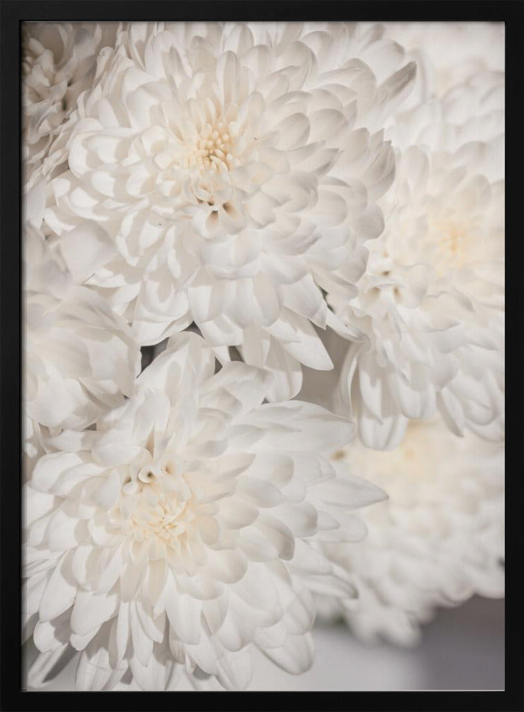 Weiße Blumen 2 | Poster