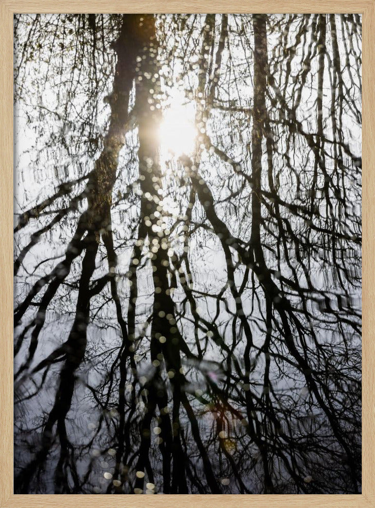 Winterreflexionen 4 | Poster