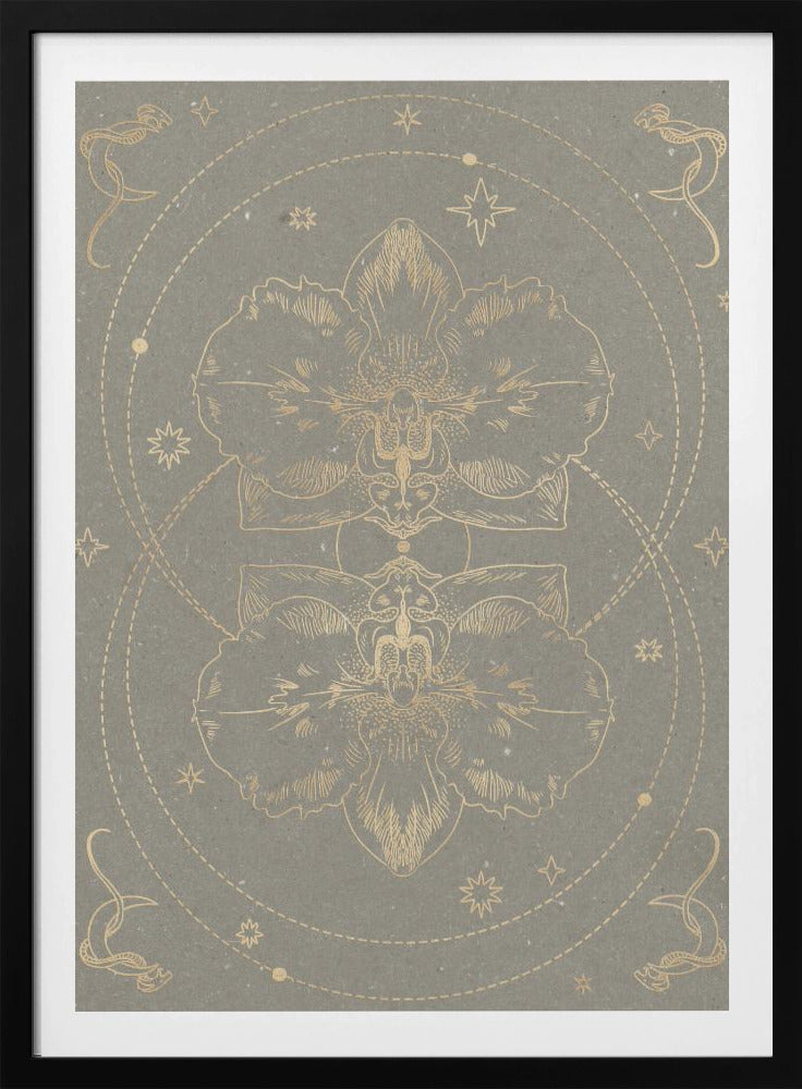 Die mystische Orchidee | Poster