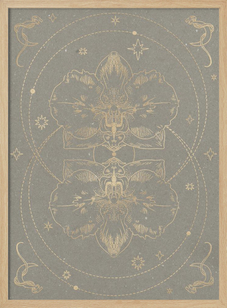 Die mystische Orchidee | Poster