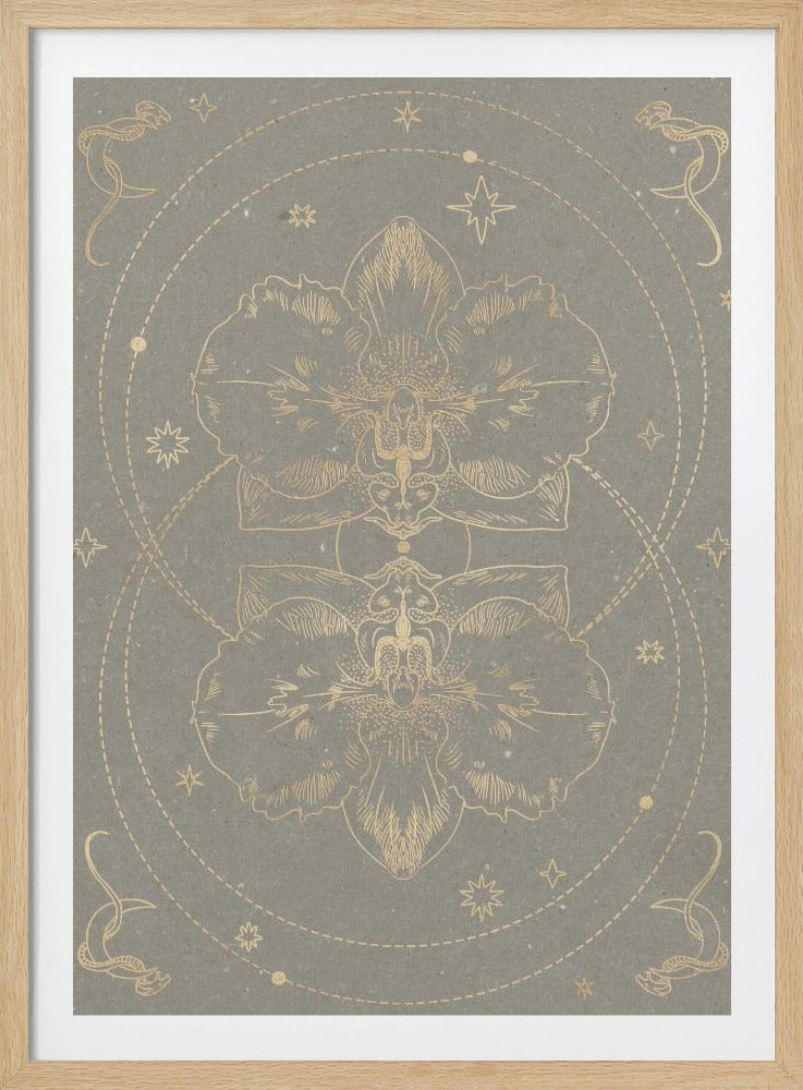 Die mystische Orchidee | Poster