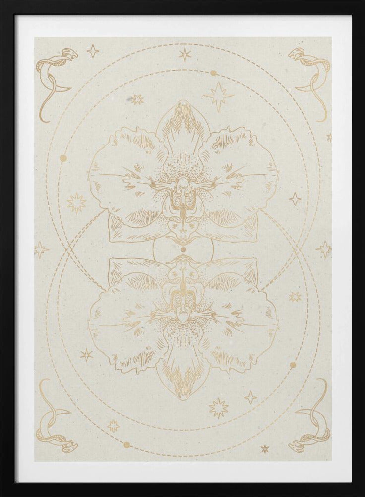 Die mystische Orchidee | Poster
