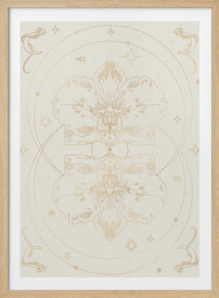 Die mystische Orchidee | Poster