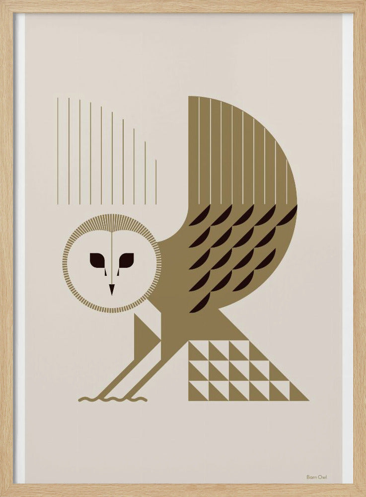 Golden Animals - Schleiereule (Weiß) | Poster