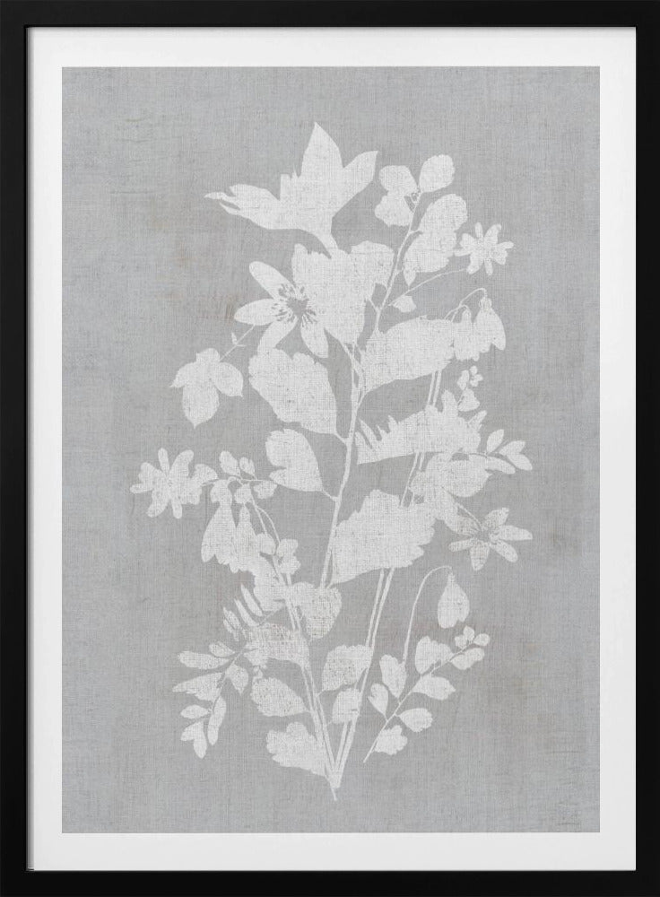 Botanische Illustration 2 | Poster