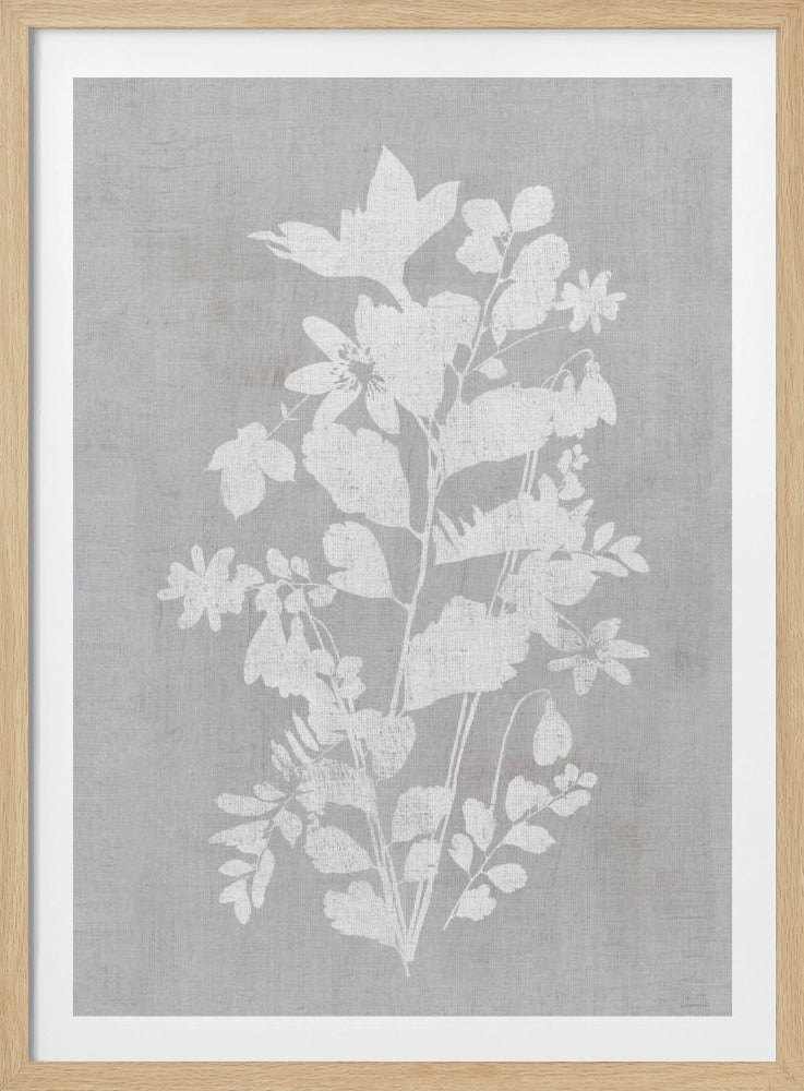 Botanische Illustration 2 | Poster