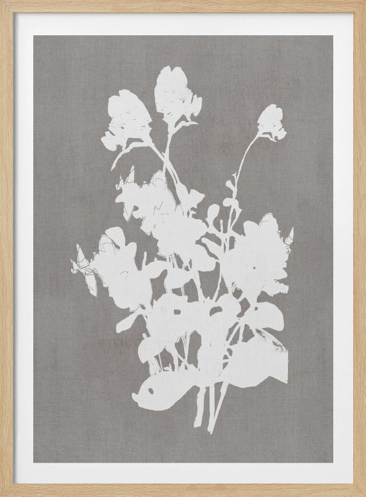 Botanische Illustration 3 | Poster