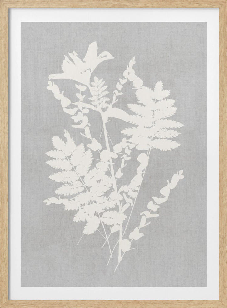 Botanische Illustration 5 | Poster
