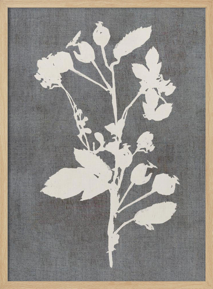 Botanische Illustration 6 | Poster