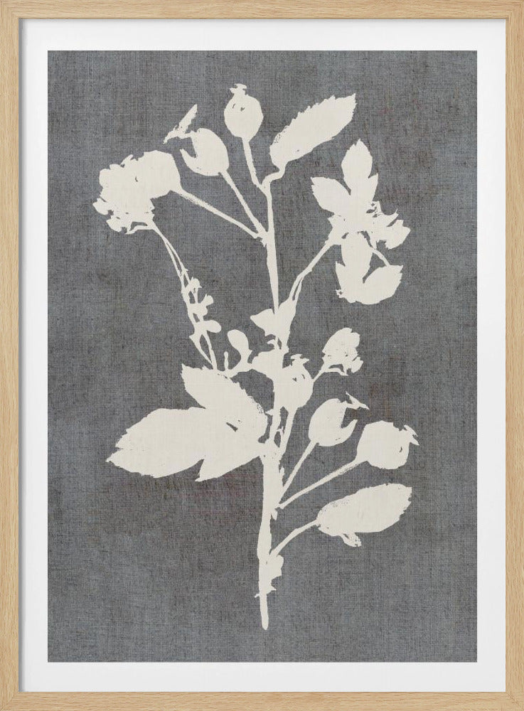 Botanische Illustration 6 | Poster