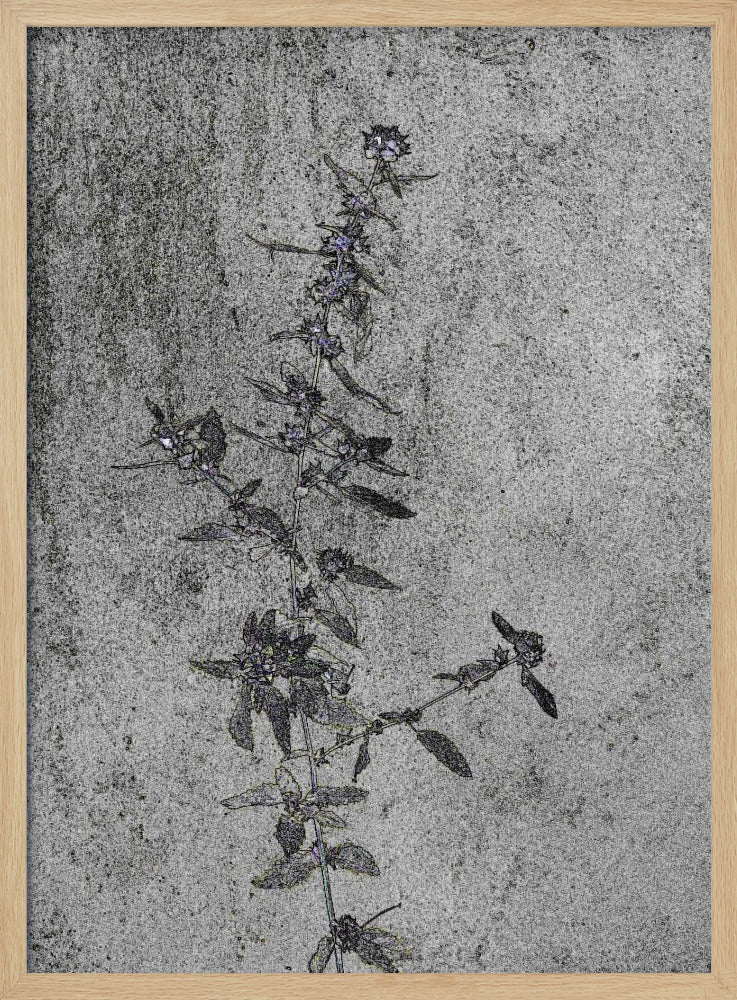 Betonblüten | Poster