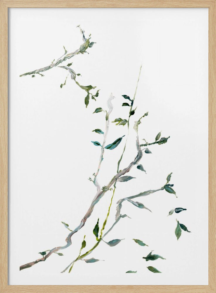 Botanische Zweige Nr. 2 | Poster