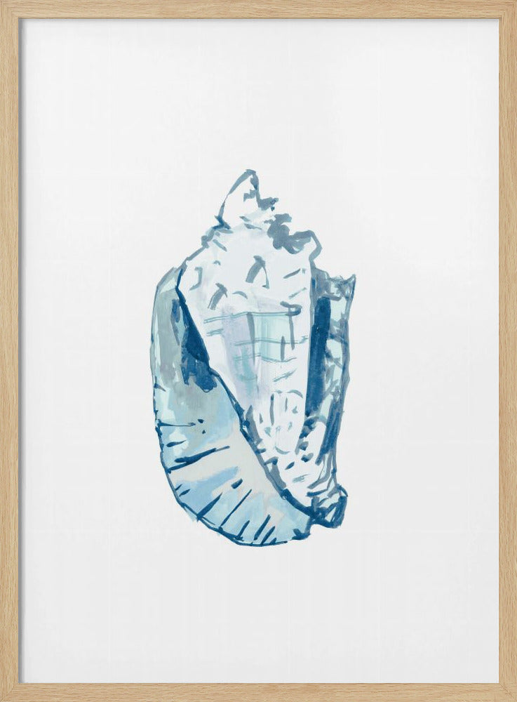 Blaue Muschel auf weißem Hintergrund Nr. 6 | Poster