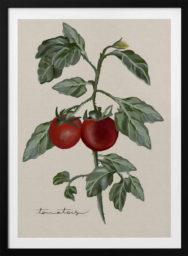 Vintage Garten | Poster