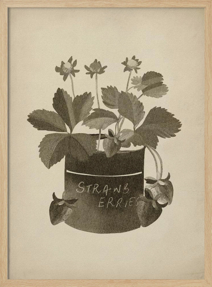Vintage Erdbeerpflanze | Poster