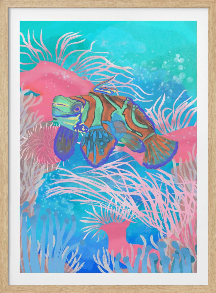 Mandarinfisch | Poster