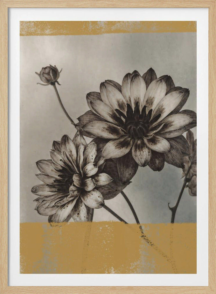 Vintage Blumen Nr. 6 | Poster