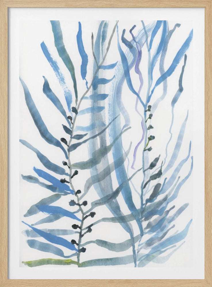 Blaue Algen Nr. 1 | Poster