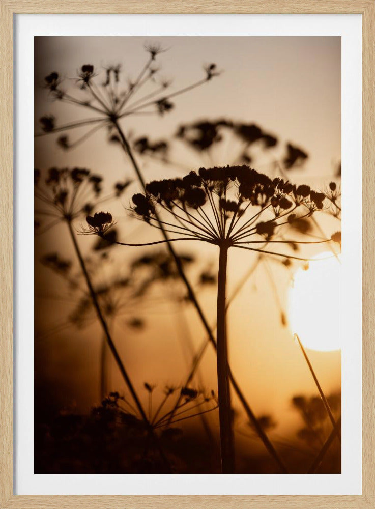 Goldene Stunde 1 | Poster