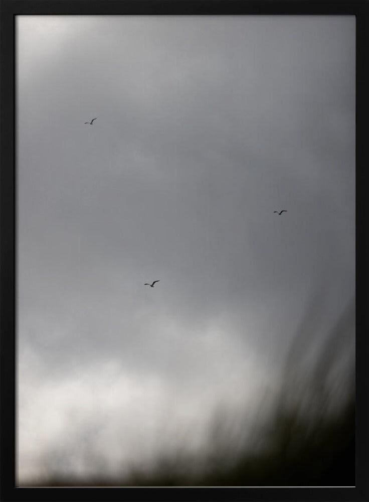 Vögel und Wolken 2 | Poster