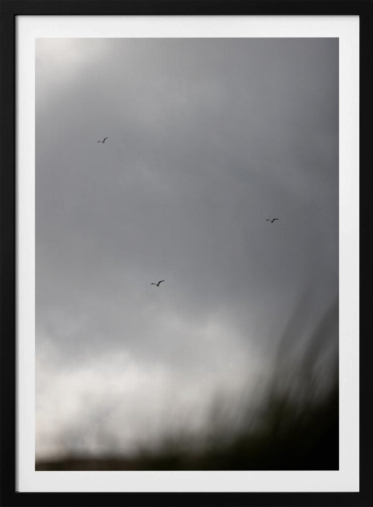 Vögel und Wolken 2 | Poster