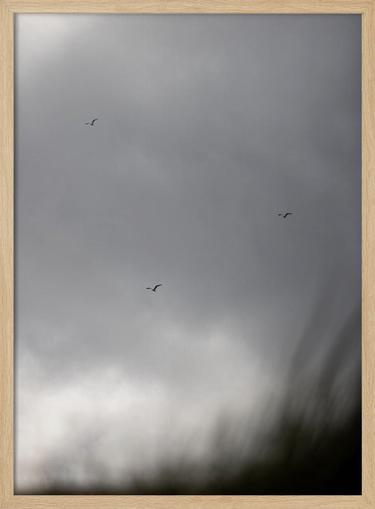 Vögel und Wolken 2 | Poster