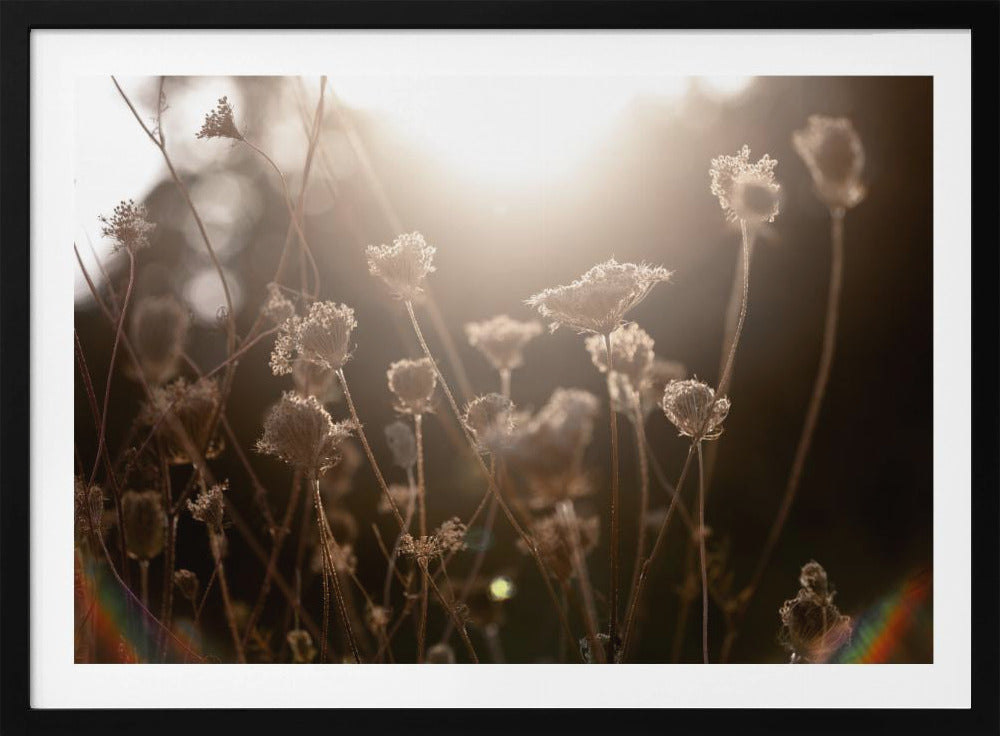 Warmes Winterlicht 3 | Poster