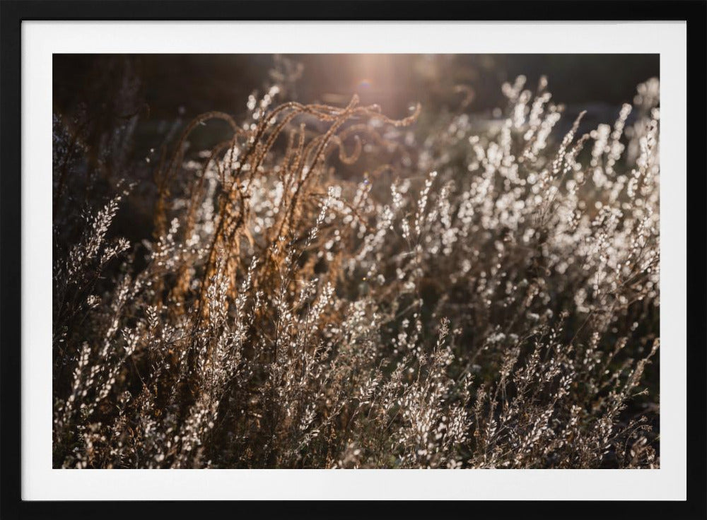 Warmes Winterlicht 4 | Poster