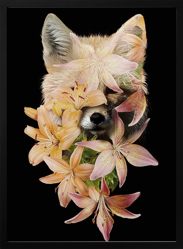Fuchsblumen | Poster