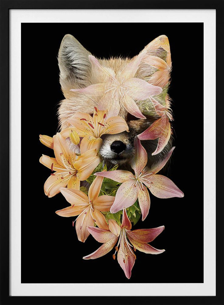 Fuchsblumen | Poster