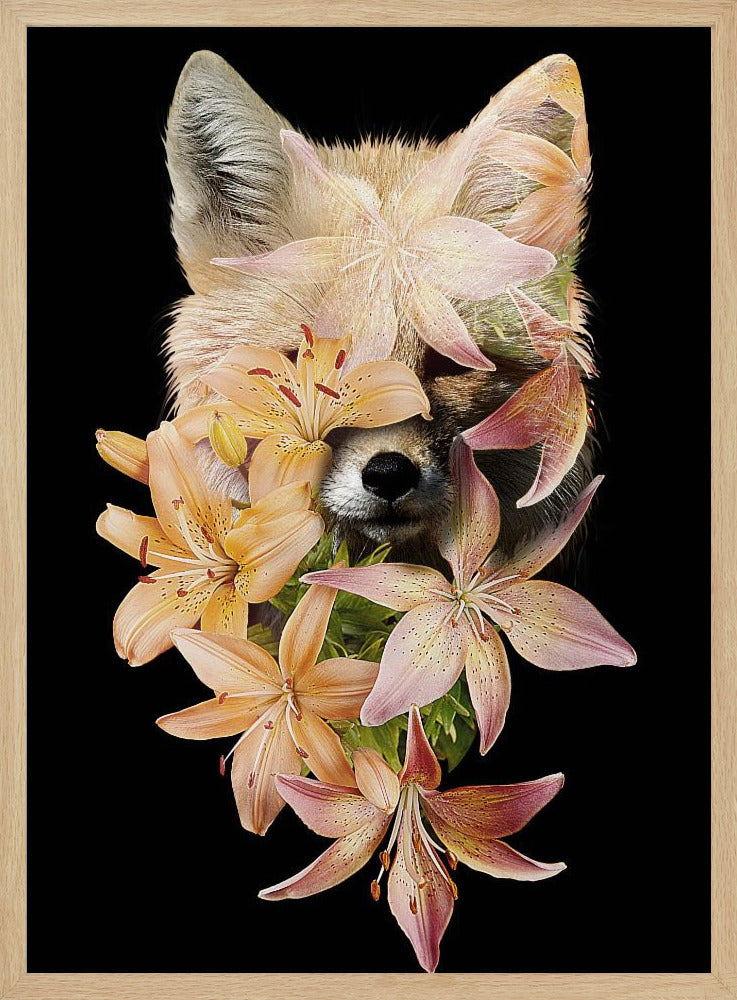 Fuchsblumen | Poster