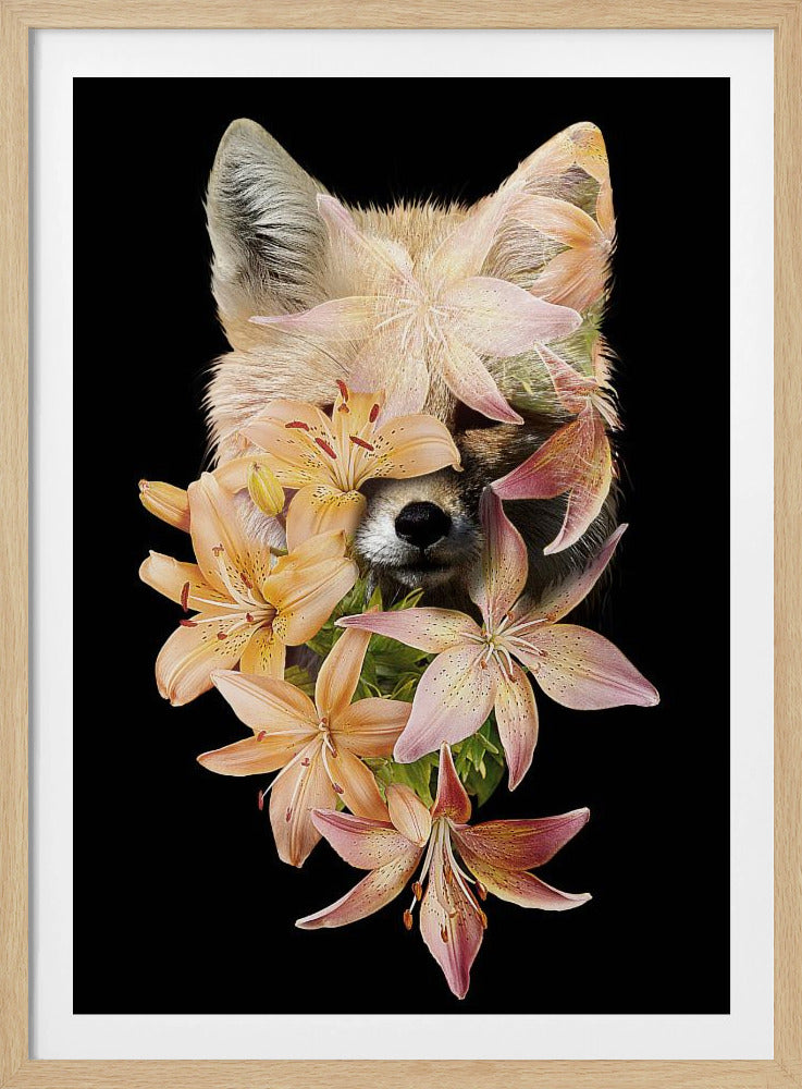 Fuchsblumen | Poster
