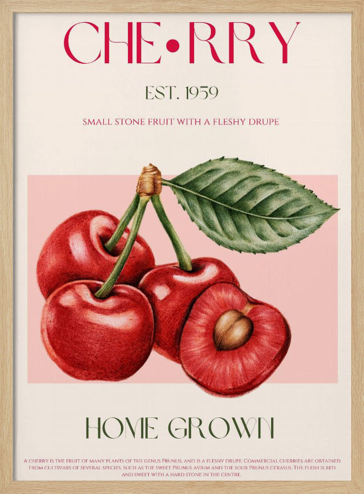 Süße rote Kirschen | Poster
