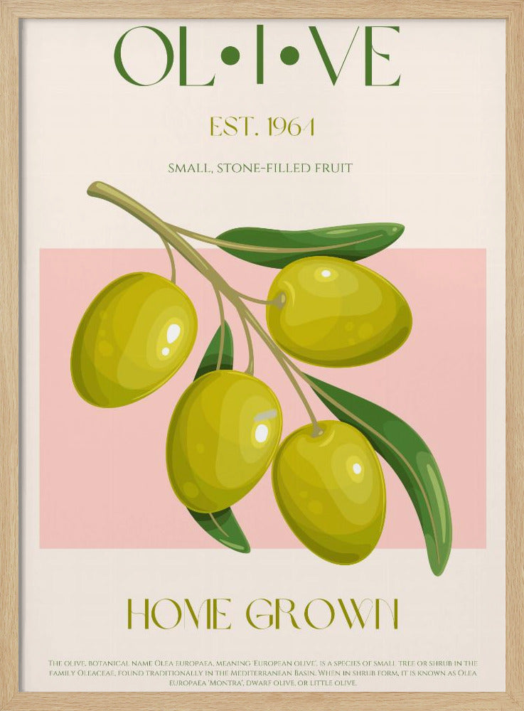 Goldene Oliven-Essenz | Poster