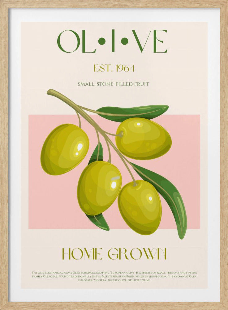 Goldene Oliven-Essenz | Poster