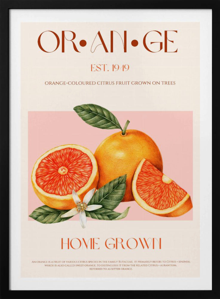Vintage-Thema mit leuchtenden Orangen | Poster