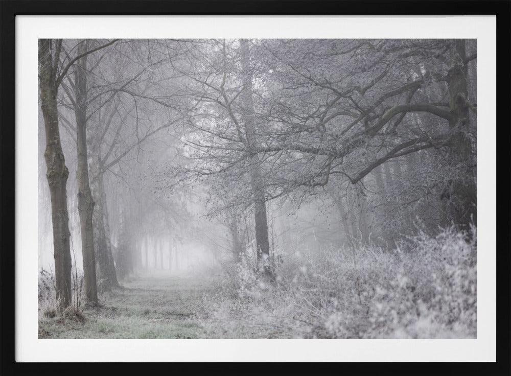 Nebliger Wintermorgen 1 | Poster