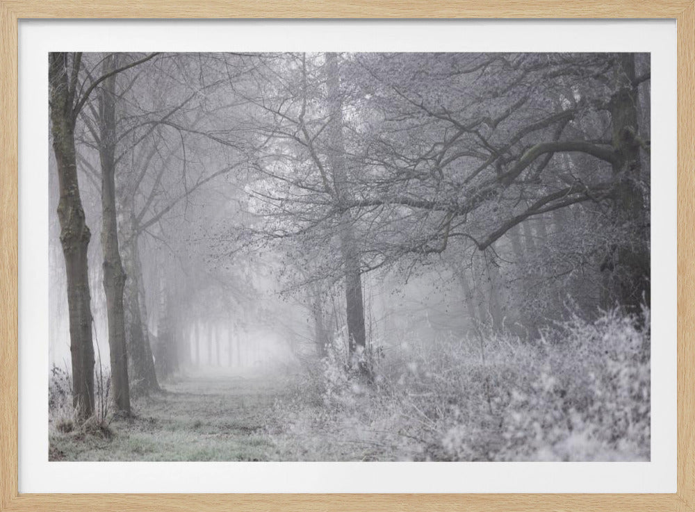 Nebliger Wintermorgen 1 | Poster