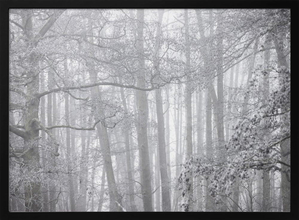 Nebliger Wintermorgen 2 | Poster