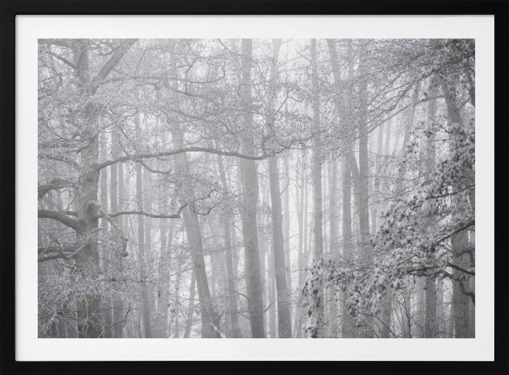 Nebliger Wintermorgen 2 | Poster