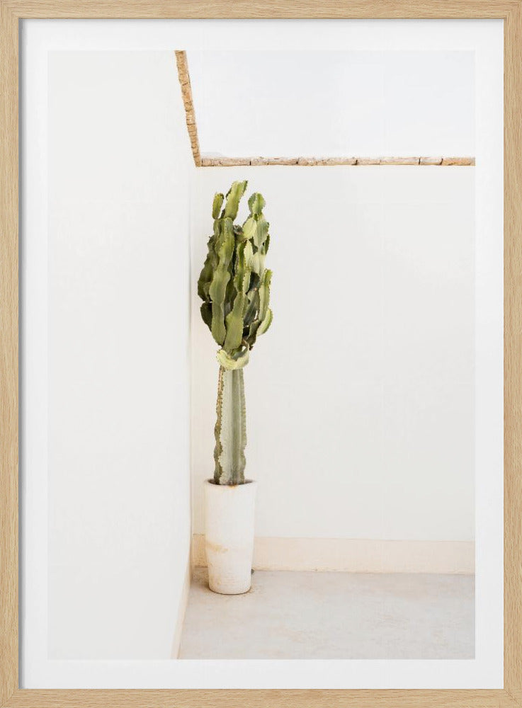 Boho Sommer | Poster