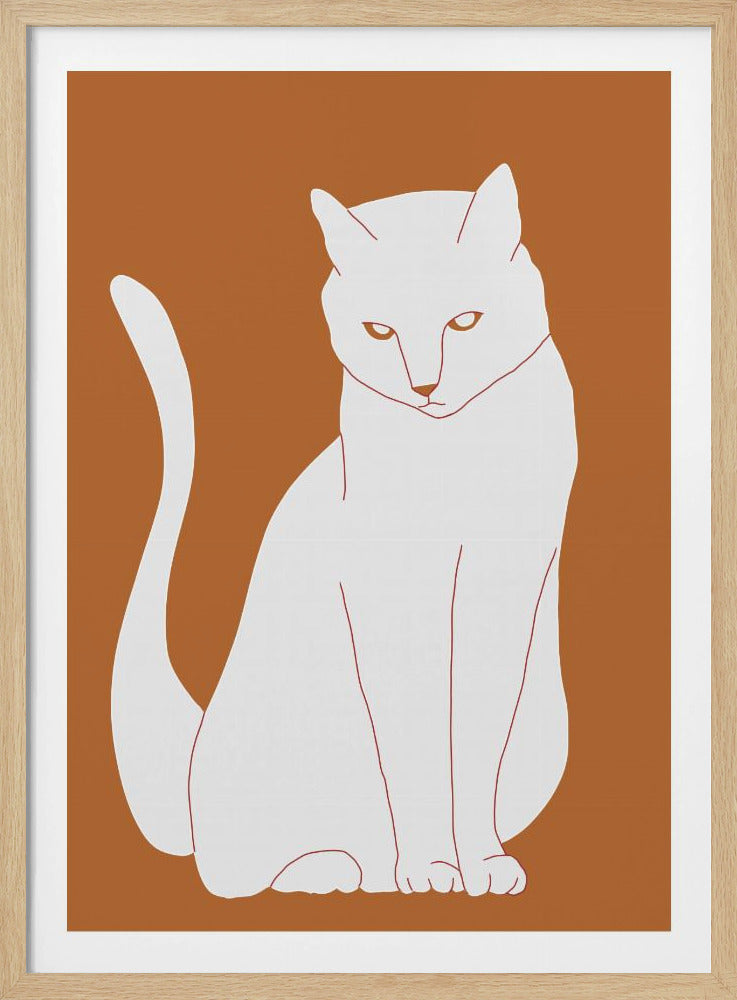 Weiße und orange Katze | Poster