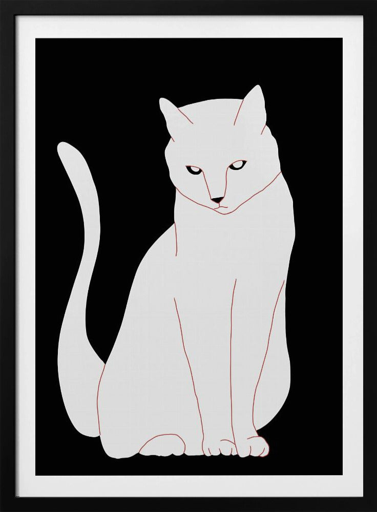 Weiße und schwarze Katze | Poster