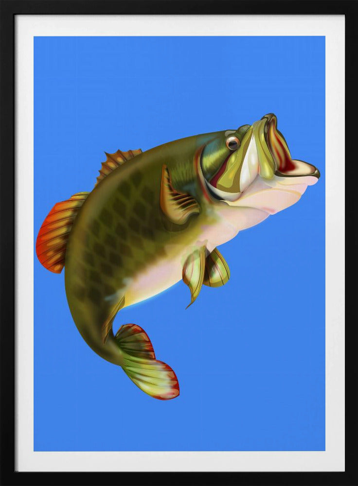 Bassfisch | Poster