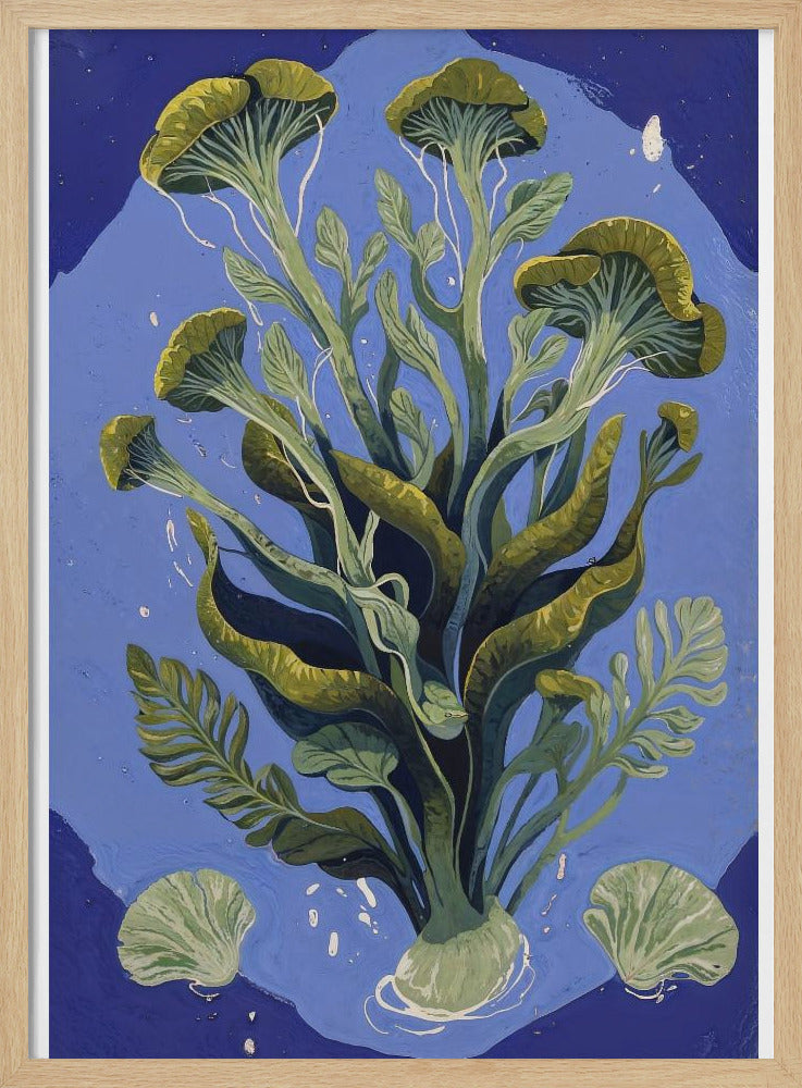 Ozeanische Pflanzen | Poster